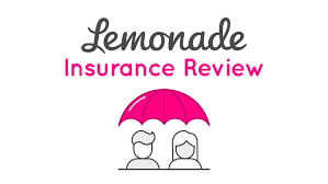 Lemonade insurance review : a couple under an umbrella